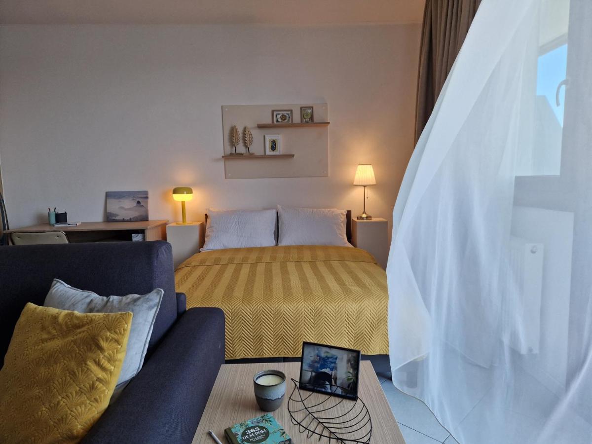Central Skystudio Apartment ทิมิชัวรา ภายนอก รูปภาพ