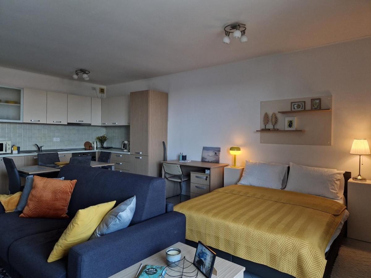 Central Skystudio Apartment ทิมิชัวรา ภายนอก รูปภาพ